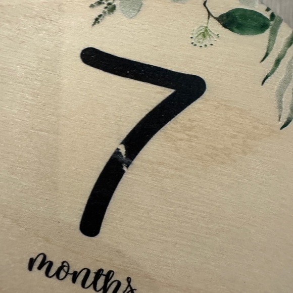 New in Bag- Wooden Baby Milestone Discs with Zoo Animals- Front and Back - Picture 3 of 3